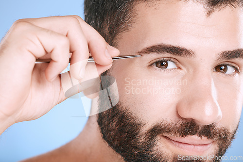 Image of Eyebrow, tweezers and hair removal with portrait of man for grooming, skincare and maintenance. Hygiene, cosmetics and self care with face of model shaping growth for treatment, facial and beauty