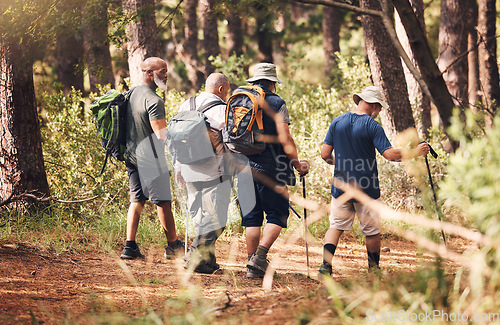 Image of Hiking, trekking and group of friends in forest for adventure, freedom and cardio wellness on mountain trail. Travel, sports and back of senior hikers for exercise, fitness and walking in retirement