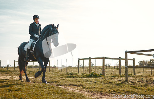 Image of Woman, equestrian, horse ride and mockup in nature in countryside and grass field. Animal training, young jockey and farm of a rider and athlete with mock up outdoor doing saddle sports with horses