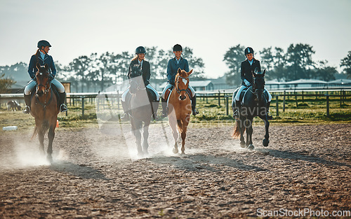 Image of Equestrian, group and women on a horse for sports, training and show on farm in Switzerland. Learning, lessons and girls horseback riding for a race, competition or professional event in countryside