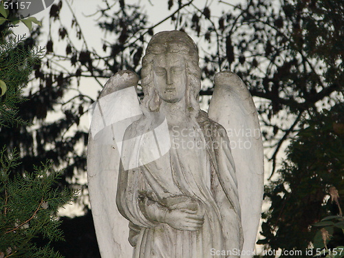 Image of stone angel