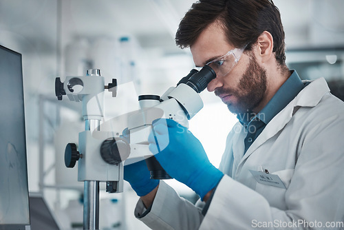 Image of Science, microscope focus and laboratory with a scientist with research data from bacteria study. Chemistry lab, biotechnology and back of working man on chemical innovation and dna analytics