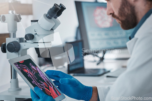 Image of Science, dna and scientist with a tablet in lab doing research on rna, medical innovation or virus. Technology, healthcare and male scientific expert working on pharmaceutical vaccine in laboratory.