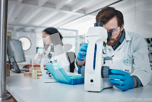 Image of Man, doctor and forensic scientist with microscope for examination, experiment or test at laboratory. Male in science looking at micro organisms for exam, breakthrough or testing to find cure at lab