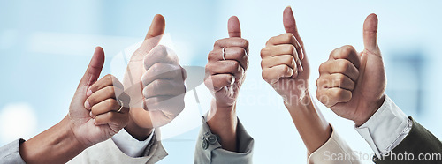 Image of Hands, people and thumbs up for thank you, good job or success in collaboration, agreement or goals. Hand of group showing thumb emoji for winning, yes or support in trust, teamwork or solidarity