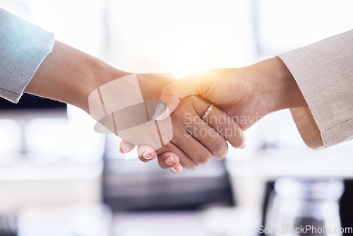 Image of B2B partnership, support or business people handshake for welcome, collaboration or company teamwork, success and innovation. Zoom, trust or women shaking hands for deal, thank you or job promotion