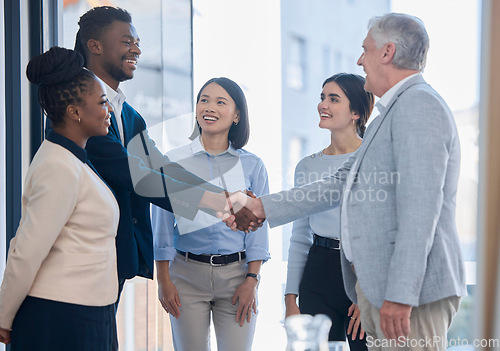 Image of Hand shake, acquisition and business people happy for investment deal, b2b contract or negotiation agreement. Diversity human resources, hiring welcome or administration job interview with HR manager