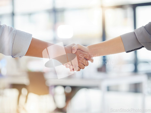 Image of Handshake closeup, partnership and business meeting, collaboration or b2b welcome, thank you and success. People shaking hands for job interview, career promotion or hiring deal in office emoji sign