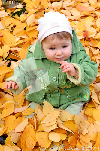 Image of baby at a park 