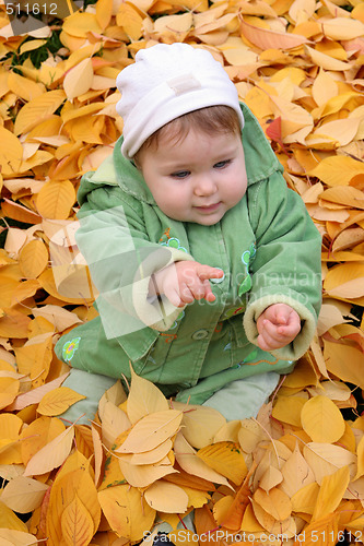 Image of baby at a park 