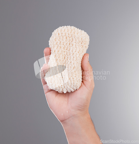 Image of Shower, grooming and hands with a loofah for hygiene isolated on a grey studio background. Skincare, health and person holding a bathing sponge for washing, cleaning and treatment on a backdrop