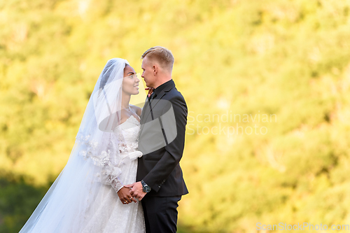 Image of Close-up portrait of newlyweds against brightly lit foliage