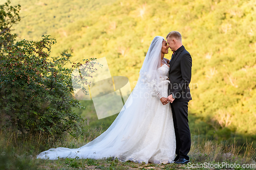 Image of Full-length portrait of the newlyweds against the backdrop of brightly lit foliage, the newlyweds look lovingly at each other