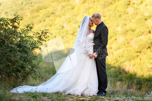 Image of Full-length portrait of the newlyweds against the backdrop of brightly lit foliage, the newlyweds are ready to kiss