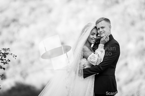 Image of Happy newlyweds against the backdrop of evening sunny foliage, the couple looks into the frame, black and white version