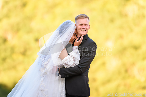 Image of Happy newlyweds against the backdrop of sunny evening foliage, the girl laughs and buries herself in her husband