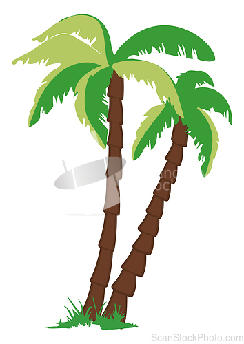 Image of Palm tree in the drawing