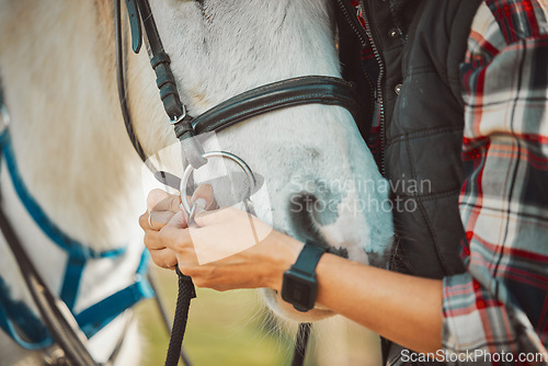 Image of Horse, riding and equestrian with person and saddle up animal outdoor, ranch in countryside and sports. Luxury, hands and pet closeup, fitness and nature, rider or jockey for training for competition