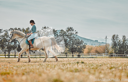 Image of Exercise, woman riding horse and training for competition, hobby and outdoor with passion for sports. Workout, female and athlete with pet, ranch and outside for practice, fun and on summer vacation