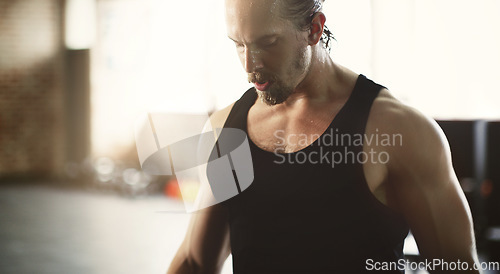 Image of Workout, exercise and strong man training in a gym or fitness club muscle building for health or wellness. Sweat, endurance and sports person or athlete serious, focus and determined with motivation