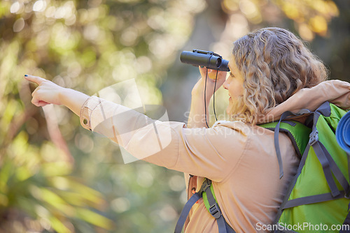 Image of Woman hiking, forest and binoculars with point, vision and birdwatching on outdoor adventure in summer. Happy hiker girl, free and search in woods, forrest and focus on walk with backpack on holiday