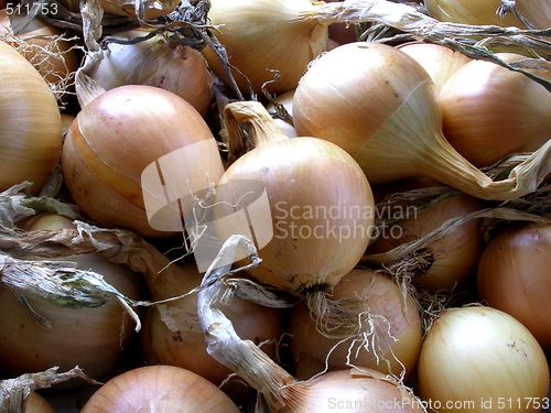 Image of onions