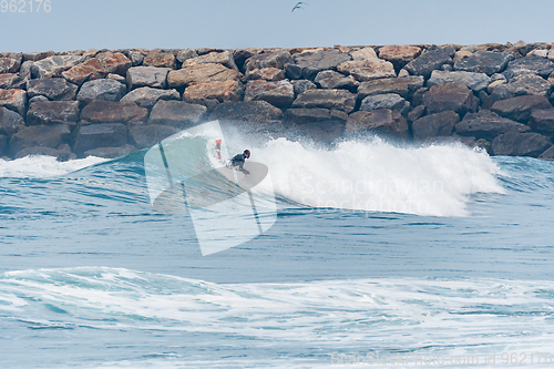 Image of Bodyboarder surfing ocean wave