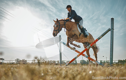 Image of Training, jump and woman on a horse for a course, event or show on a field in Norway. Equestrian, jumping and girl doing a horseback riding obstacle during a jockey race, hobby or sport in nature