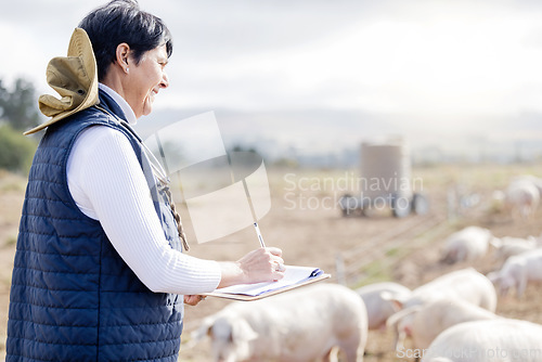 Image of Farmer, pig or senior woman with checklist for animal wellness inspection on clipboard. Agriculture, healthcare or mature person working in countryside farming bacon meat livestock in pork production