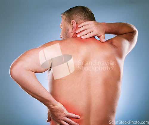 Image of Back, man and pain with inflammation, injury and body ache with blue studio background. Mature male, gentleman or emergency with neck, bruise or broken with red highlight for muscle tension or strain