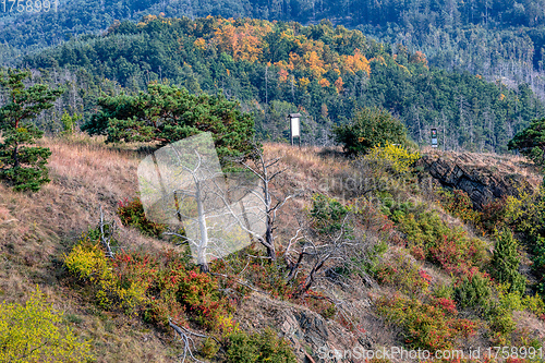 Image of National Nature Reserve Mohelen Snake Steppe, Czech Republic