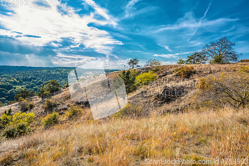 Image of National Nature Reserve Mohelen Snake Steppe, Czech Republic