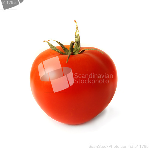 Image of Isolated tomato