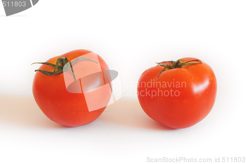 Image of Isolated tomatoes