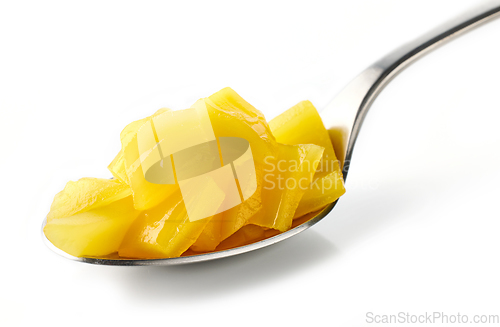 Image of spoon of canned jackfruit