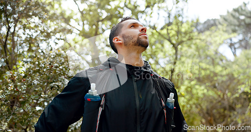 Image of Hiking, fitness and forest man with focus, motivation and thinking of healthy lifestyle goal in nature trees. Green woods and sport, exercise person with athlete gear and training challenge idea