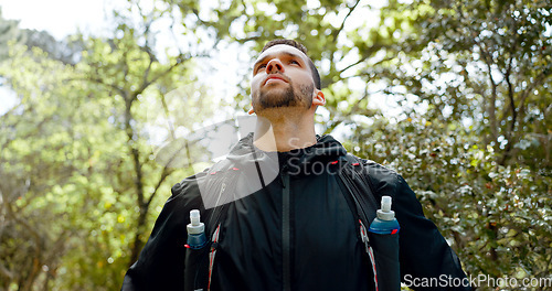 Image of Hiking, fitness and forest man with focus, motivation and thinking of healthy lifestyle goal in nature trees. Green woods and sport, exercise person with athlete gear and training challenge idea