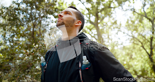 Image of Hiking, fitness and forest man with focus, motivation and thinking of healthy lifestyle goal in nature trees. Green woods and sport, exercise person with athlete gear and training challenge idea