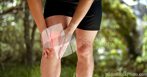 Image of Knee pain, legs and park runner man, athlete and training, workout and exercise on outdoor nature trail. Closeup fitness body, inflammation problem and muscle injury, health risk and running sports