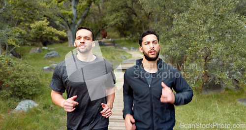 Image of Running, fitness and people in nature forest for training, outdoor wellness or challenge with focus, motivation and energy. Sports men friends, personal trainer athlete exercise together in mountain