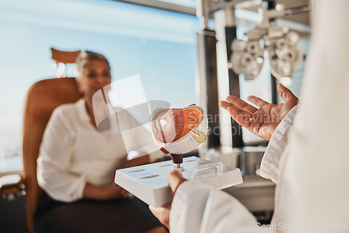 Image of Eye anatomy model, doctor consultation and eyes exam for senior health in a clinic. Optometrist, elderly woman patient and consulting healthcare worker explaining vision test results for elder care