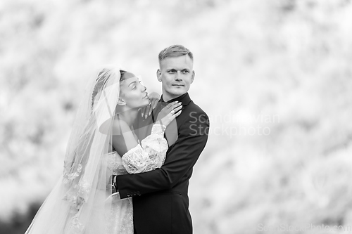 Image of Happy newlyweds against the backdrop of sunny evening foliage, the guy looks into the distance, the girl looks at the guy