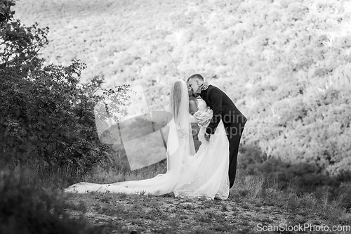 Image of Full-length portrait of the newlyweds against the backdrop of brightly lit foliage, the newlyweds passionately embrace, black and white version