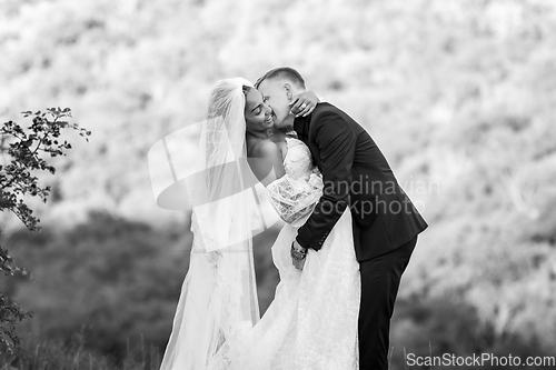 Image of Happy newlyweds hugging against the backdrop of evening sunny foliage, black and white version