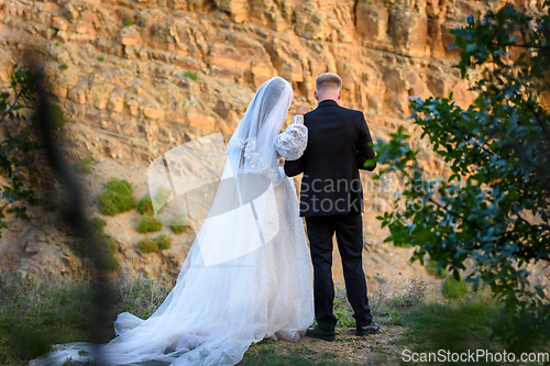 Image of Newlyweds stand on the edge of a hill and look down, rear view