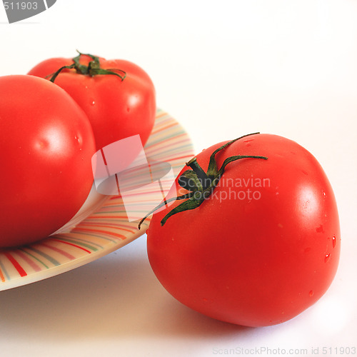 Image of Isolated tomatoes