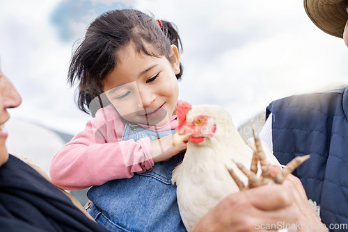 Image of Farm, agriculture and girl and chicken in countryside for farming, livestock and agro. Sustainability, family and child with grandparents and bird for protein, animal produce and eco friendly ranch