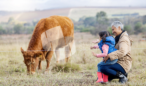 Image of Cow, looking and child with grandmother on a farm for agriculture, farming and countryside experience. Sustainability, together and girl talking to a senior woman about cattle in a rural village