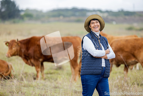 Image of Cows, vet and portrait of farmer woman for agriculture health, cattle or free range management in food industry. Veterinary, farming expert and proud mature person with agro animal in countryside