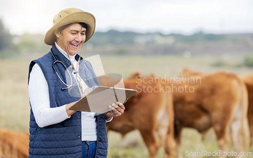 Image of Cow veterinary, agriculture and woman with clipboard for growth inspection, checklist and animal wellness. Farm, healthcare and happy senior vet working in countryside, cattle farming and livestock